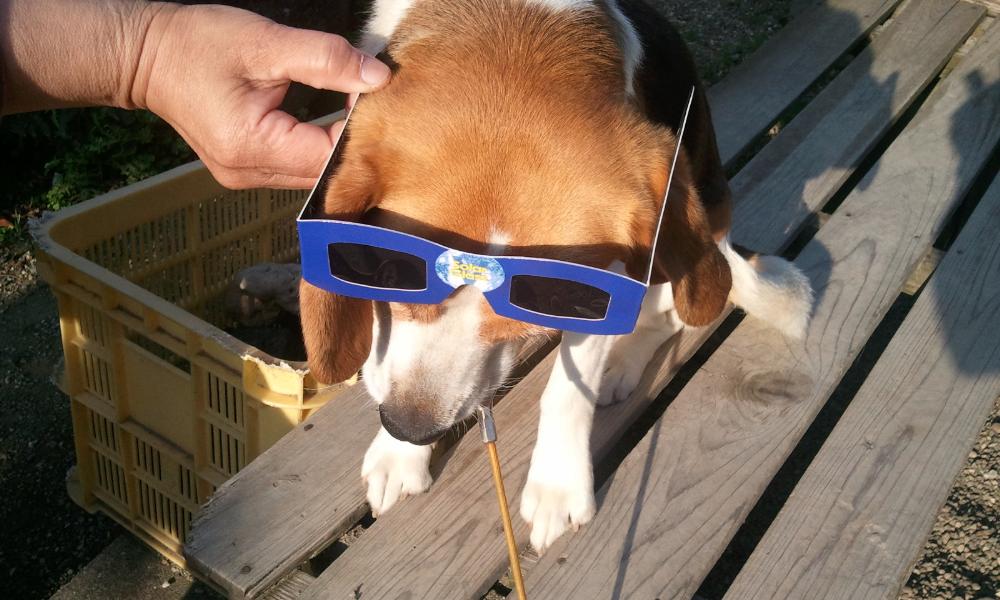 2012-05-21 06.40.21.jpg